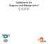 Guideline for the Diagnosis and Management of COPD