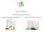 Clinical Study Report. Arbonne Essentials Products Arbonne Evolution Products