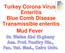 Turkey Corona Virus Enteritis Blue Comb Disease Transmissible enteritis Mud Fever
