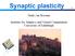 Synaptic plasticity. Mark van Rossum. Institute for Adaptive and Neural Computation University of Edinburgh