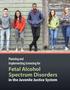 Planning and Implementing Screening for Fetal Alcohol Spectrum Disorders in the Juvenile Justice System