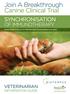 Join A Breakthrough. Synchronisation. of Immunotherapy. Veterinarian. Information Guide. Using Serial C-Reactive Protein (CRP) Measurements in Dogs