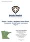 Brown Nicollet Community Health Board Community Health Status Assessment Report