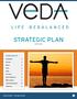 STRATEGIC PLAN CONTENTS VESTIBULAR.ORG 1. Introduction 2. Overview 3. Mission 4. Vision 4. Values 4.
