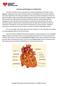 Anatomy and Physiology of a Healthy Heart