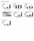 Supplementary Figure 1 Protease allergens induce IgE and IgG1 production. (a-c)