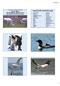 Aquatic birds and habitat usage