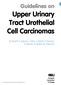 Guidelines on Upper Urinary Tract Urothelial Cell Carcinomas