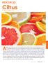 Apples are not the only fruits that keep the doctor away! Delicious and refreshing citrus fruits. by Vida Karamooz, Ph. D.