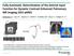 Fully-Automatic Determination of the Arterial Input Function for Dynamic Contrast-Enhanced Pulmonary MR Imaging (DCE-pMRI)
