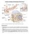 Anatomy, Histology, & Embryology of the Pancreas