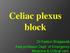 Celiac plexus block. Dr.Kasturi Bhagawati Asst.professor Dept. of Emergency Medicine & Critical care.