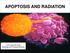 APOPTOSIS AND RADIATION. Laura Valverde Soria Radiology and Physical Medicine