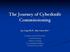The Journey of Cyberknife Commissioning