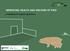 IMPROVING HEALTH AND WELFARE OF PIGS. A handbook for organic pig farmers