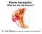 Plantar fasciopathy What are the risk factors? Dr. Paul Beeson BSc, MSc, PhD, FCPodMed, FFPM RCPS(Glasg)