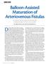 During the 1980s and early 1990s, the arteriovenous