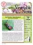Vegetable News. Table of Contents. Squash Vine Borer Time for Management! Abby Seaman NYS IMP Program Edited by: Crystal Stewart ENYCHP