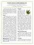 Scientific Evidence for Medical Marijuana Use