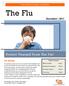 The Flu December 2017