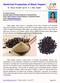 Medicinal Properties of Black Pepper
