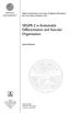 VEGFR-2 in Endothelial Differentiation and Vascular Organization