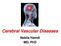 Cerebral Vascular Diseases. Nabila Hamdi MD, PhD
