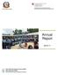 Government of Nepal. Annual Report
