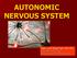 AUTONOMIC NERVOUS SYSTEM