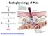Pathophysiology of Pain