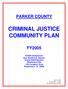CRIMINAL JUSTICE COMMUNITY PLAN