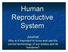 Human Reproductive System. Journal Why is it important to know and use the correct terminology of our bodies and its functions?