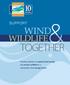 Working together to expand wind energy and protect wildlife for a sustainable clean energy future