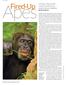 Apes. Fired-Up. Chimps show their smarts and fuel an evolutionary debate. By Bruce Bower