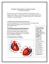Coronary artery anatomy:-