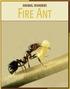 ANIMAL INVADERS. Fire Ant