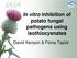 In vitro inhibition of potato fungal pathogens using isothiocyanates