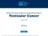 Testicular Cancer. NCCN Clinical Practice Guidelines in Oncology (NCCN Guidelines ) Version NCCN.org. Continue