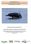 Progress Report on Community based River Dolphin and habitat monitoring in Brahmaputra river system