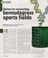 bermudagrass sports fields