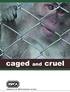 caged and cruel Supplement to the RSPCA Counting the cost report