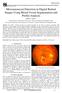 Microaneurysm Detection in Digital Retinal Images Using Blood Vessel Segmentation and Profile Analysis