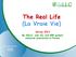 The Real Life (La Vraie Vie) Survey 2013 By SILLC, sole CLL and MW patient advocate association in France