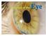 Outline and Introduction. SECTIONS 1. Orbit 2. Eyelid 3. Conjunctiva 4. Cornea 5. Uvea 6. Lens 7. Retina/Vitreous 8. Optic Nerve/Glaucoma