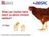 What can mother hens teach us about chicken welfare?