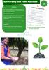 Soil Fertility and Plant Nutrition