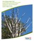 Kauri Dieback Report 2017: An investigation into the distribution of kauri dieback, and implications for its future management, within the Waitakere