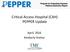 Critical Access Hospital (CAH) PEPPER Update
