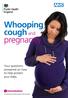 Whooping. pregnancy. Your questions answered on how to help protect your baby. the safest way to protect yourself and your baby
