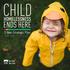 CHILD ENDS HERE HOMELESSNESS. 3 Year Strategic Plan Inn from the Cold 3 Year Strategic Plan